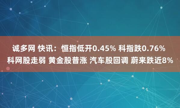 诚多网 快讯：恒指低开0.45% 科指跌0.76% 科网股走弱 黄金股普涨 汽车股回调 蔚来跌近8%