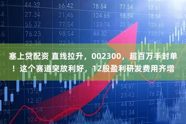 塞上贷配资 直线拉升，002300，超百万手封单！这个赛道突放利好，12股盈利研发费用齐增