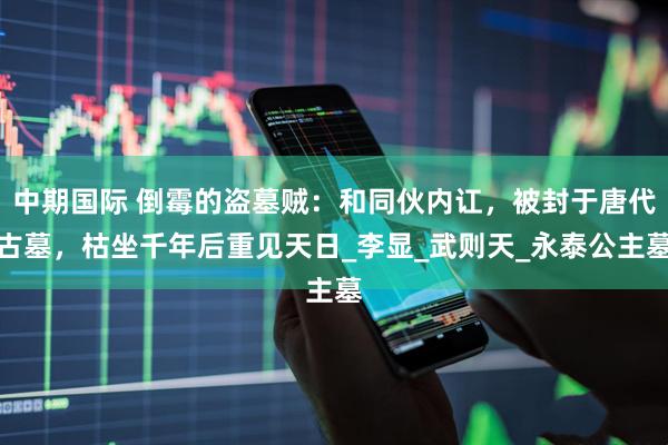 中期国际 倒霉的盗墓贼：和同伙内讧，被封于唐代古墓，枯坐千年后重见天日_李显_武则天_永泰公主墓